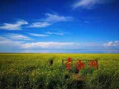 -青海湖国家重点风景名胜区