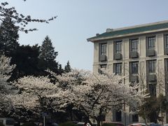 -武汉大学-樱园