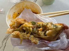 -半月镰胡姐脆皮萝卜饺子