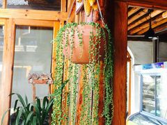 -乡绅本色白家厨坊