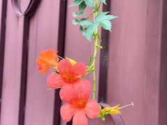 -苏州河梦清园环保主题公园