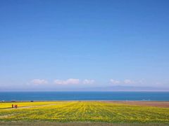 -青海湖国家重点风景名胜区
