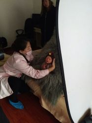 -江阴偶来路儿童摄影(江阴市新体育中心体育场店)