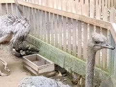 -呀诺达热带雨林