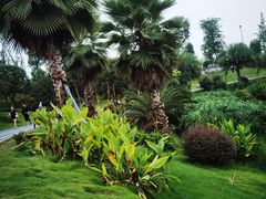 -枫香湖儿童公园