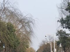 -黄鹤楼