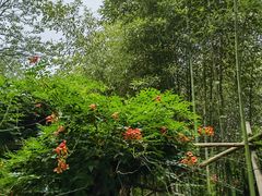 -竹泉村旅游度假区