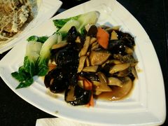 -云中小雅