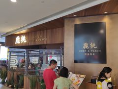 -大树餐厅(益田假日店)