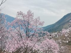 -九皇山景区