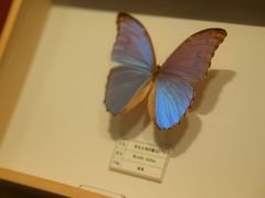 -四川宋瓷博物馆