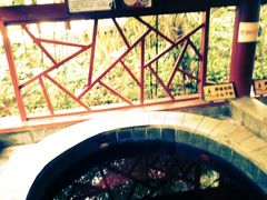 景点-嘉和K6温泉微度假