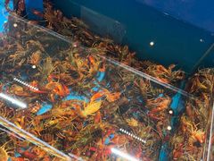 -鼎原力量东北吊炉烧烤(幸福街店)