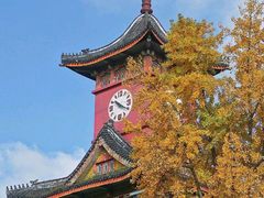 -四川大学(望江校区)