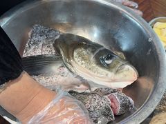 -好灶头妈妈菜·千岛湖土菜地标美食