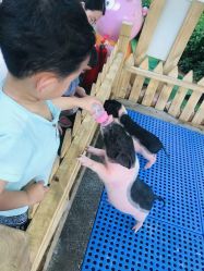 -萌宠亲子动物乐园(槐房万达店)