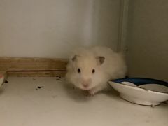 -长安国际影城(钟楼店)