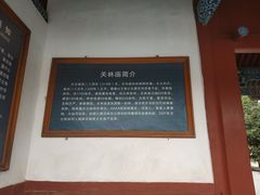 -关林