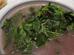 -壹盏灯(惠农店)