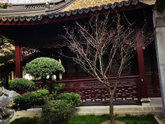 -复旦大学附属华山医院(总院)