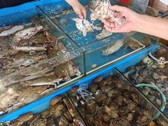 -盛华世家商业广场农贸水产综合批发市场