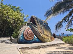 -海南分界洲岛旅游区