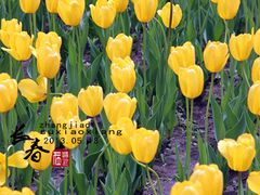 -长春公园(普阳街道)