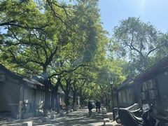 -北京国子监胡同