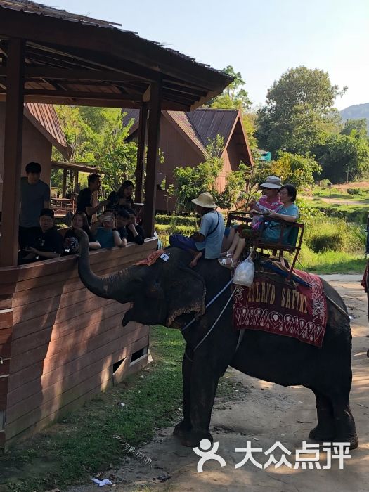 海景大象营图片 - 第4张