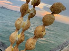 -海埂大坝