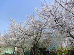 -堤角公园
