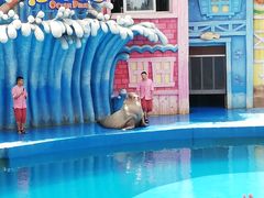 -华夏文旅海洋公园