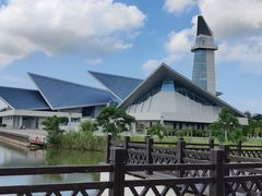 -盐城丹顶鹤湿地生态旅游区
