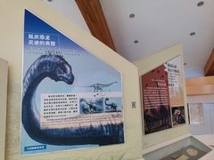 -延庆地质公园博物馆