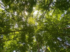 -桤木河湿地公园