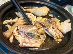 -佬肥猫(七宝宝龙店)