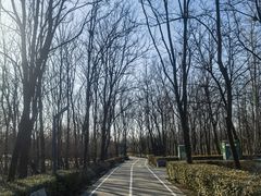 -古塔公园