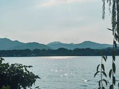 -西湖外事游船(花港观鱼码头)