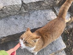 -北京凤凰岭