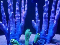 -欢乐海岸海洋奇梦馆