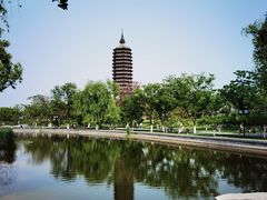 -西海子公园