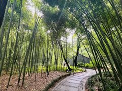 -兰亭风景区