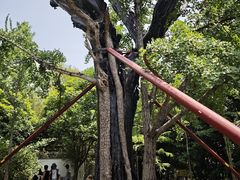 -上海佘山国家森林公园天马山园