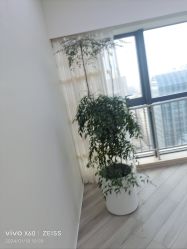 -HEYAN荷妍专业脱毛连锁机构