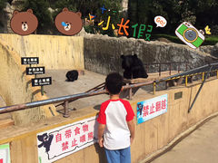 -东方熊牧场