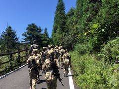 -武陵山森林公园