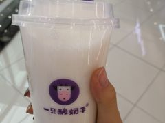 -一只酸奶牛(汕头金平万达广场店)