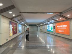 -岳阳东站
