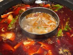 -陈眼镜火锅(总店)