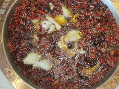 -雲蜀龙阁·金牌水煮鱼(方庄店)